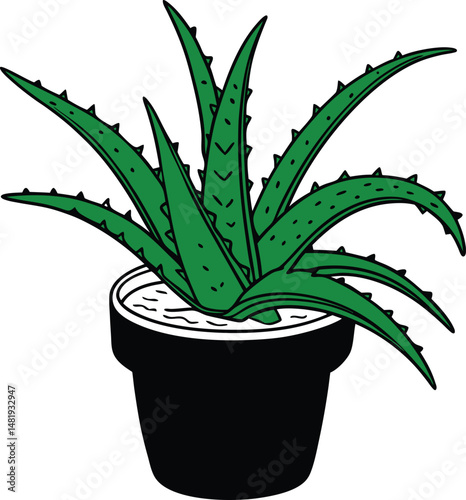 Aloe vera vector icon