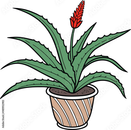 Aloe vera vector icon