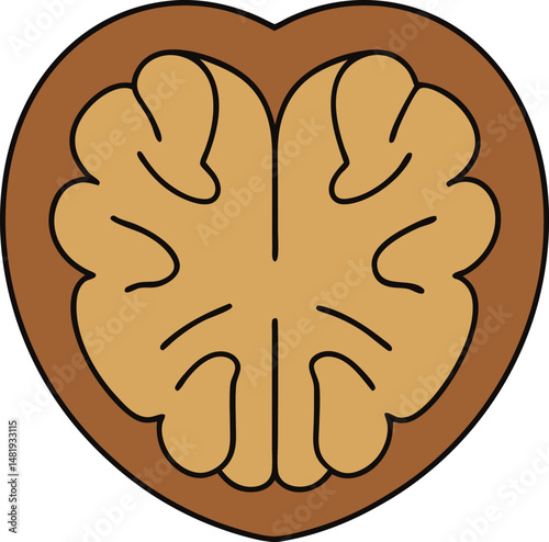 walnut vector icon on white background