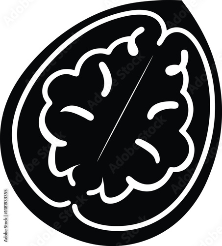 walnut vector icon on white background