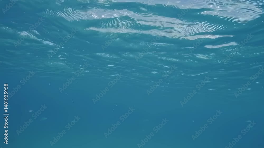 Underwater Calm with Serene Waves Underwater Calm with Serene Waves