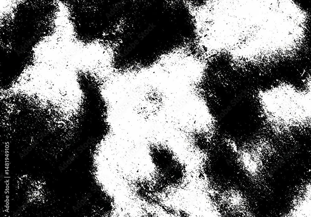 Fototapeta premium Abstract Grainy Black And White Texture Background