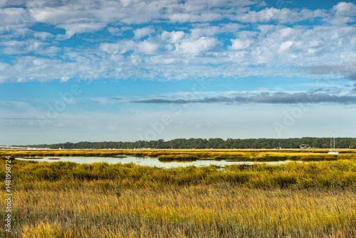 Hilton Head South Carolina marsh wetlands and natural grass landscape