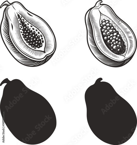 Papaya fruit whole and halved monochrome vector illustration and silhouette design