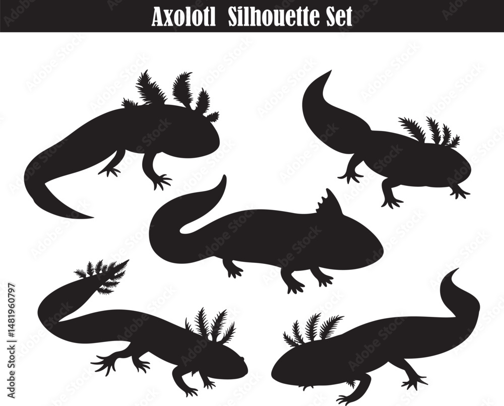 Fototapeta premium Axolotl Silhouette Set | Black Axolotl Vector Graphics | Amphibian Outline Art | Mexican Walking Fish Clipart | Wildlife Illustration