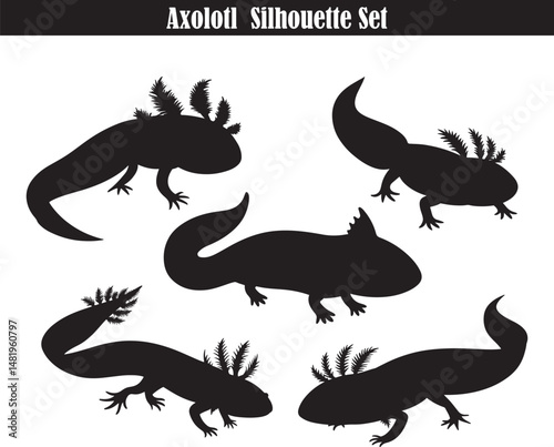 Axolotl Silhouette Set | Black Axolotl Vector Graphics | Amphibian Outline Art | Mexican Walking Fish Clipart | Wildlife Illustration