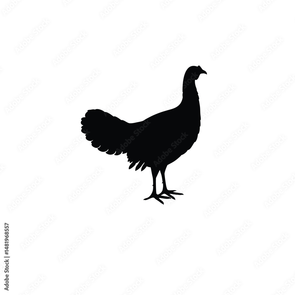 Fototapeta premium chicken silhouette on white background