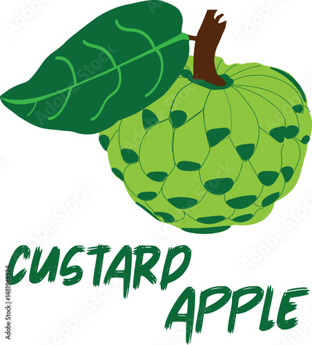 Vibrant green custard apple illustration with leaf and text.
