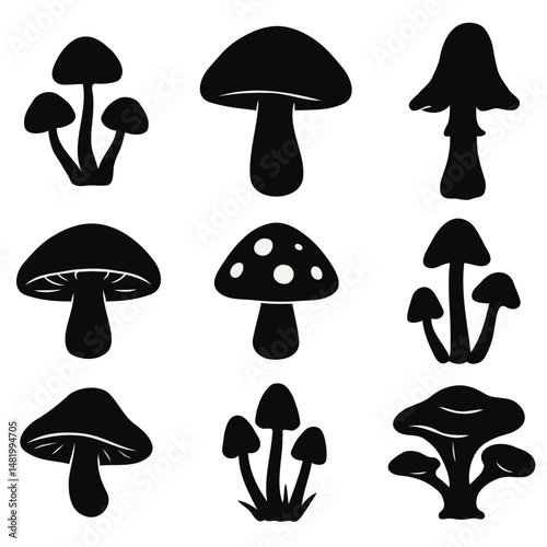 Different types of mushrooms silhouettes