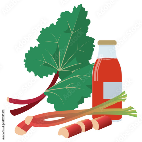 Rhubarb leaves , cut stems and a bottle of fresh rhubarb cordiale.Vector Illustration