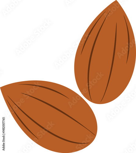 Almond icon. Nut vector illustration isolated  on white background.