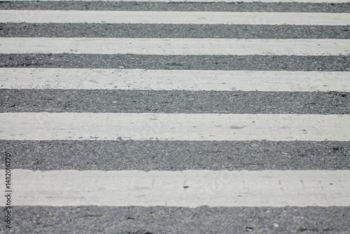 Wallpaper Mural Zebra crosswalk on a asphalt road - closeup background	
 Torontodigital.ca