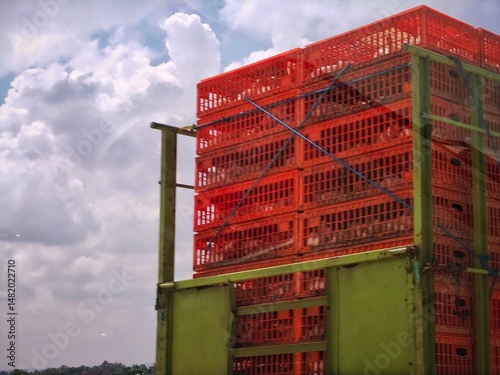 Quadro su tela Chickens in orange crates being transported on a truck
