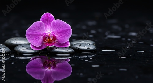 Orchid Blossom on Wet Stones with Reflection on Dark Surface