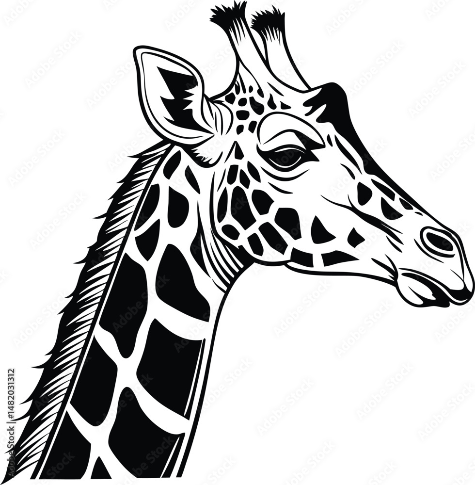Naklejka premium giraffe head vector illustration