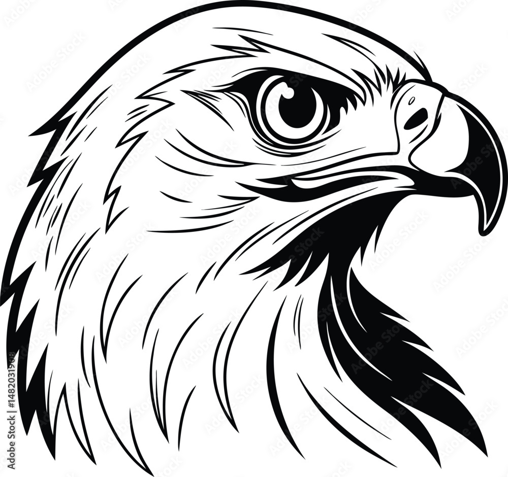 Fototapeta premium eagle head isolated on white