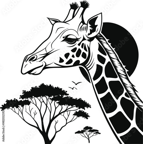 giraffe vector illustration