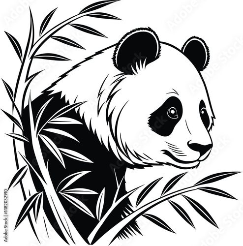 panda on a black background
