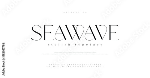 Elegant luxury curvy serif alphabet display font vector