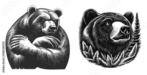 Detailed Vector Illustration of Bears in Black and White Artistic Style