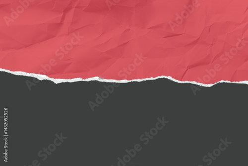 Torn paper edge with rip and tear details for design or collage.