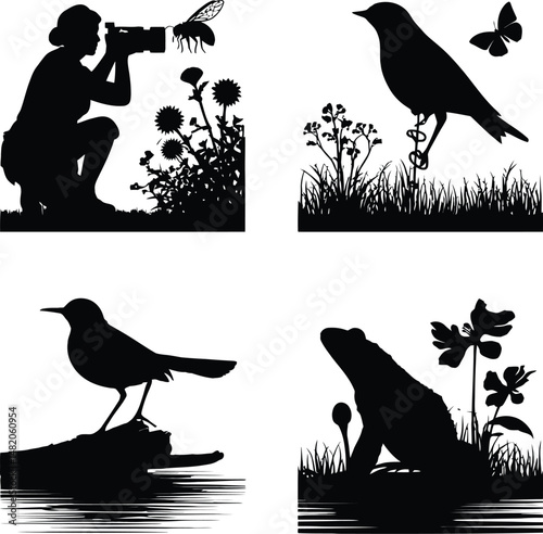 Nature Observation Silhouette Vectors - Photography & Wildlife 