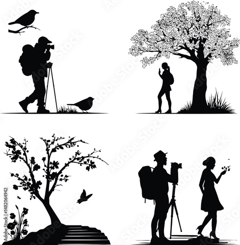 Nature Photography & Exploration Silhouette Vectors - Vector