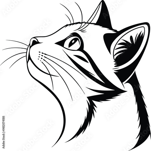 vector illustration of a cat