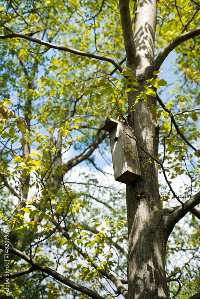 A nesting box for birds, hung on a tree.