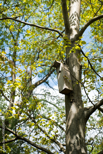 Obraz na płótnie A nesting box for birds, hung on a tree.
w salonie