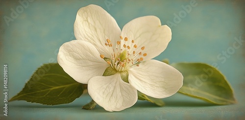 A beautiful white flower blooms against a soft watercolor background