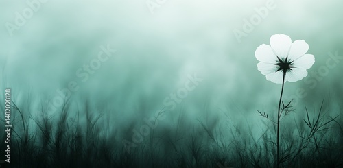 A soft watercolor background serves as the backdrop for the bloom of a beautiful white flower