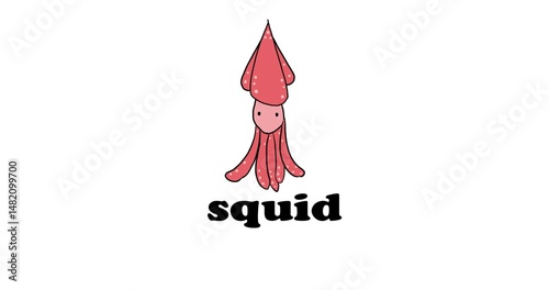sea animals study in english, squid