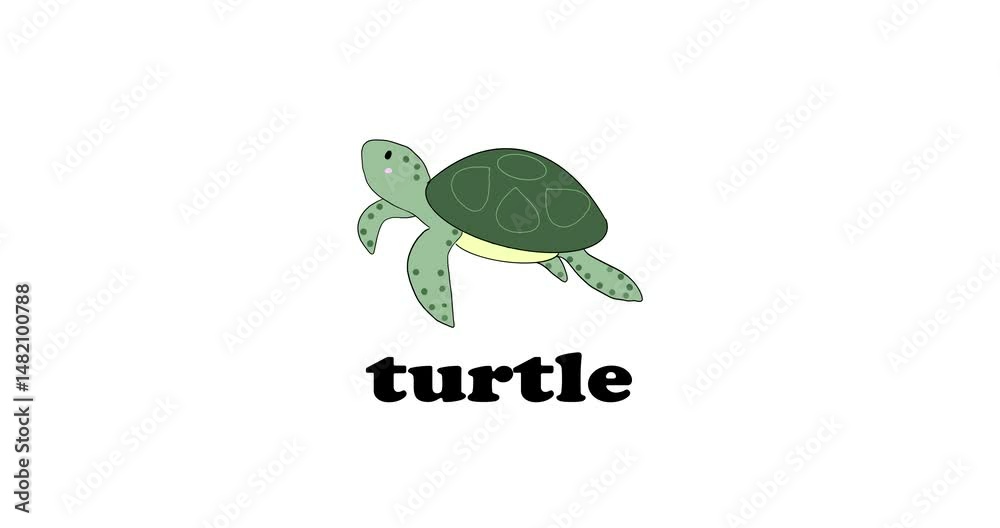 sea animals study in english, turtle