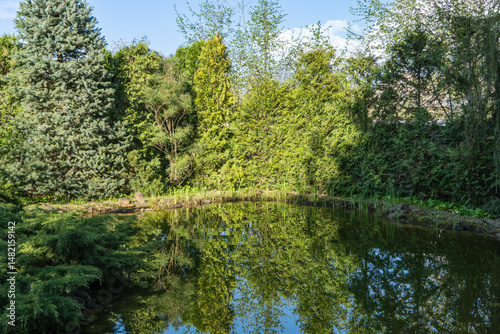 Surface of calm pond, surrounded by evergreen plants on shore, reflects like mirror lush greenery and trees under clear blue sky, creating calm natural scene. Nature concept for design.
