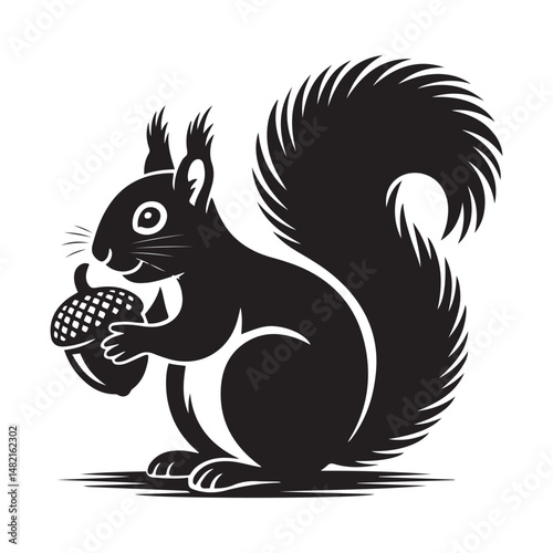 squirrel with bushy tail holding a nut Vector black silhouette. with white background