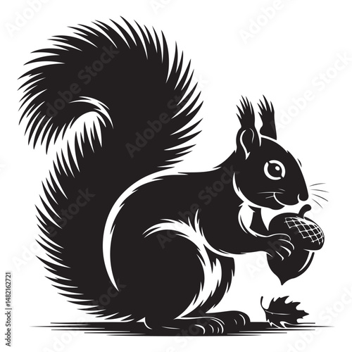 squirrel with bushy tail holding a nut Vector black silhouette. with white background