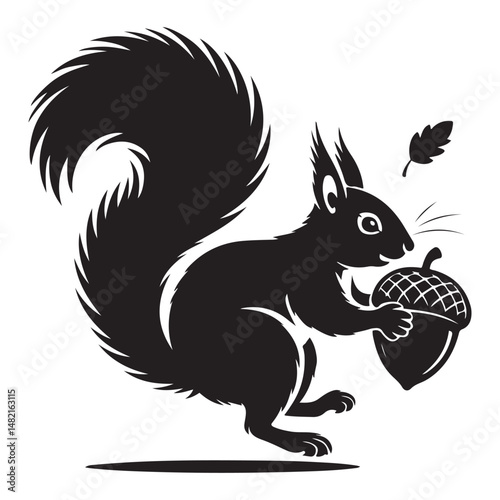 squirrel with bushy tail holding a nut Vector black silhouette. with white background