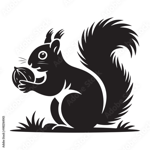 squirrel with bushy tail holding a nut Vector black silhouette. with white background