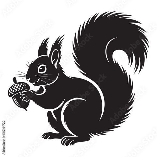 squirrel with bushy tail holding a nut Vector black silhouette. with white background