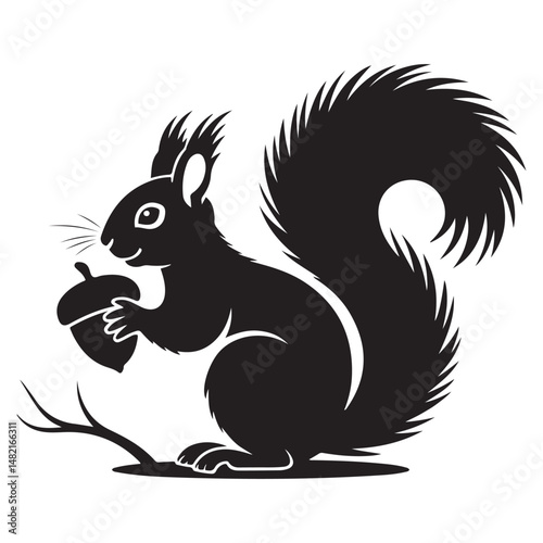 squirrel with bushy tail holding a nut Vector black silhouette. with white background