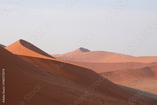 Beeindruckende Sandwüsten in der Namib am frühen Morgen