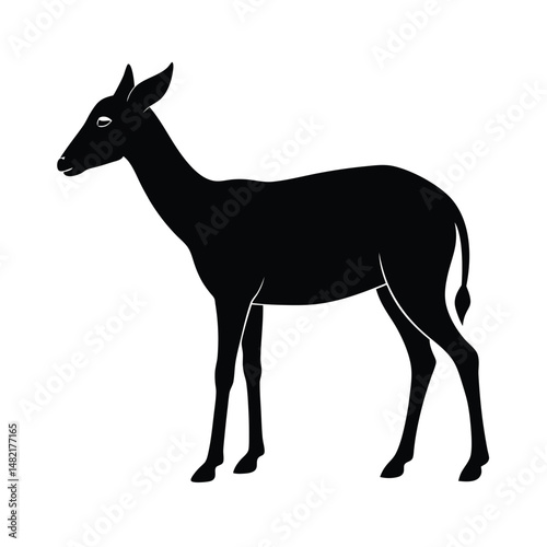 Dibatag Grazing Long Neck Vector Art