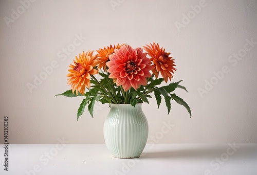 A dahlia flower vase on a white background.