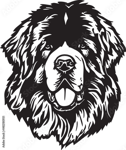 newfoundland dog vector illustration