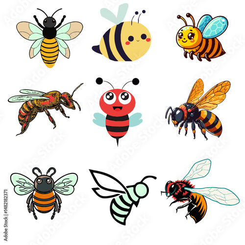 Colourful Bee  Vector 