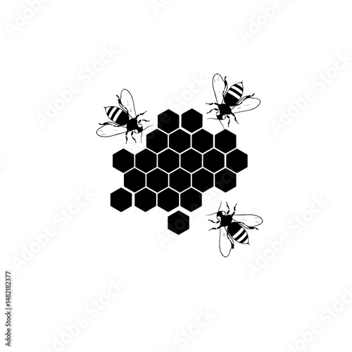  honey chak Bee vecto