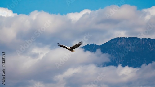 Eagle soaring above the clouds