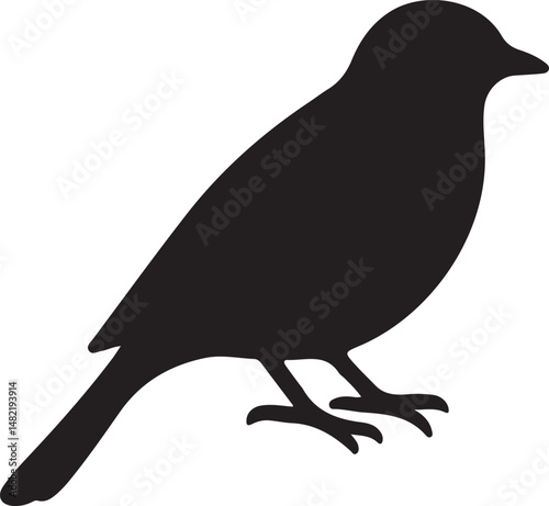 crow on a white background