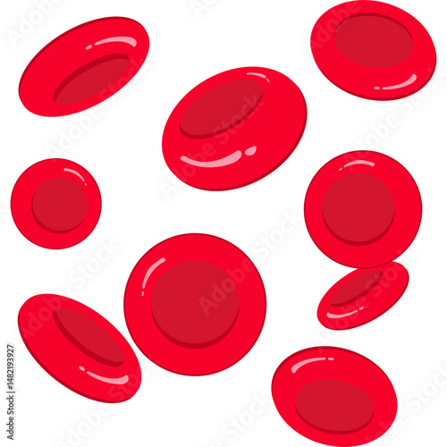 Red Blood Cells